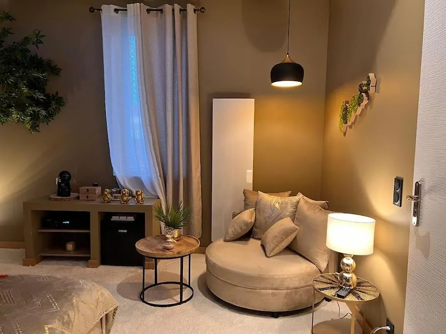Loving Room Cocooning Avec Jacuzzi « La Terre » Jujurieux France